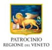 logo patrocino regione veneto