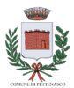 logo pettenasco