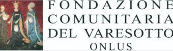 logo varesotto onlus